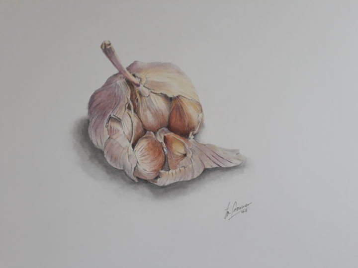 Картина под названием "Garlic" - Ton Brouwer, Подлинное произведение искусства, Акварель