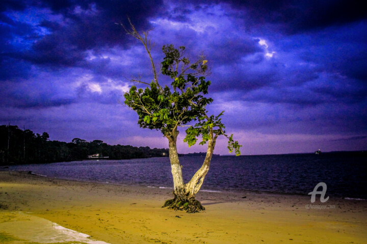 Fotografia intitulada "Árvore solitária" por Toninho Castro, Obras de arte originais