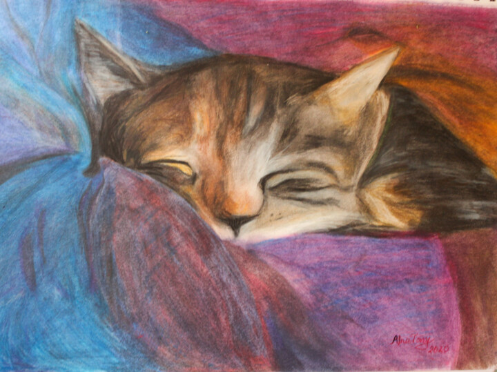 Dessin intitulée "Sleeping cat" par Tony Jesusalna, Œuvre d'art originale, Crayon