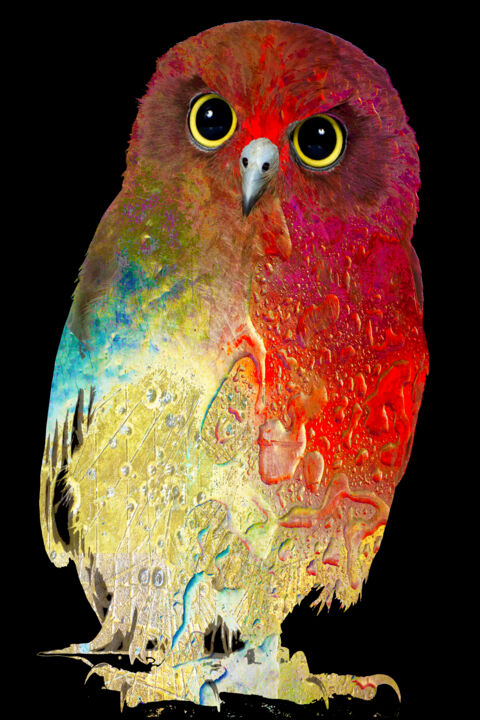 Painting titled "Owl Colorful Rainbow" by Tony Rubino, Original Artwork, Acrylic