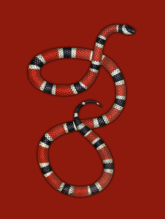 Premium AI Image  Beautiful snake ful challenging color