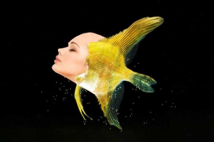 Malarstwo zatytułowany „Fish Woman Surreal” autorstwa Tony Rubino, Oryginalna praca, Akryl Zamontowany na Drewniana rama nos…