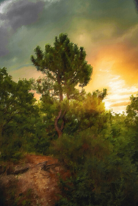 Peinture intitulée "Classic Trees Fores…" par Tony Rubino, Œuvre d'art originale, Acrylique Monté sur Châssis en bois