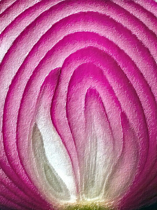 "Red Onion Abstract…" başlıklı Tablo Tony Rubino tarafından, Orijinal sanat, Akrilik Ahşap Sedye çerçevesi üzerine monte edi…