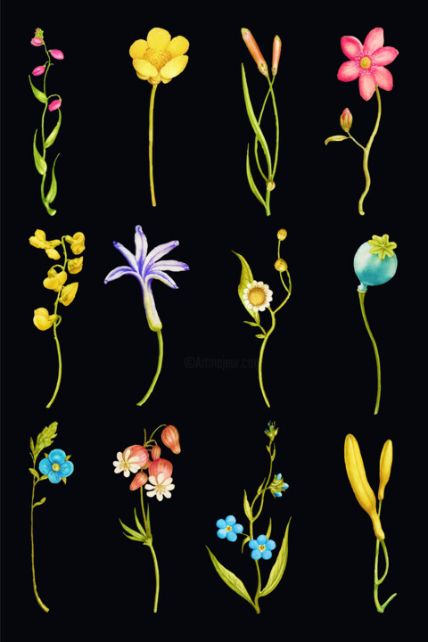 Peinture intitulée "Flower Samples Samp…" par Tony Rubino, Œuvre d'art originale, Acrylique Monté sur Châssis en bois