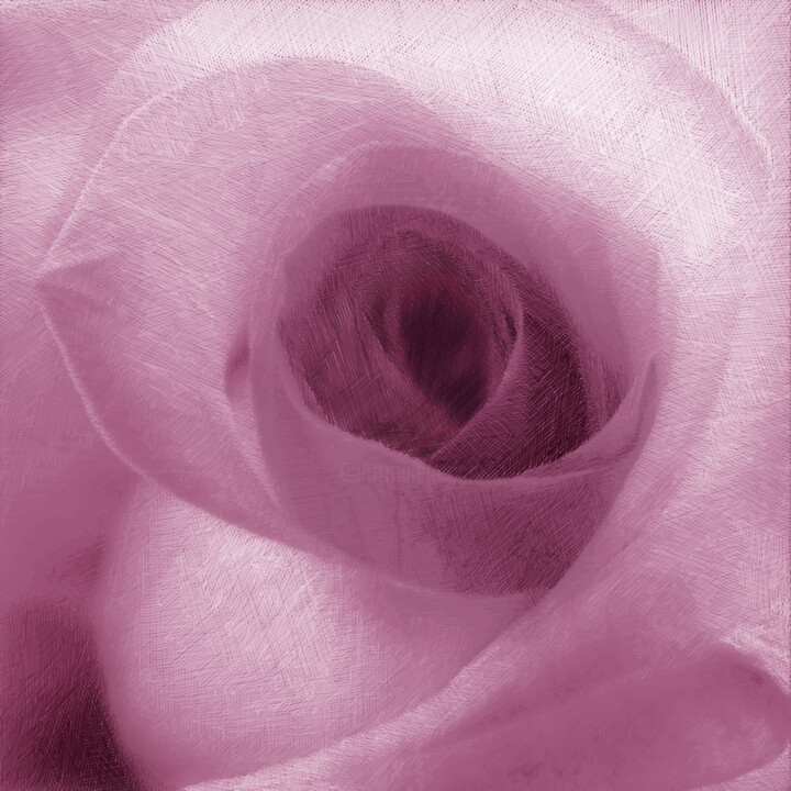 Digital Arts με τίτλο "Pink Rose" από Tony Rubino, Αυθεντικά έργα τέχνης, Ψηφιακή ζωγραφική