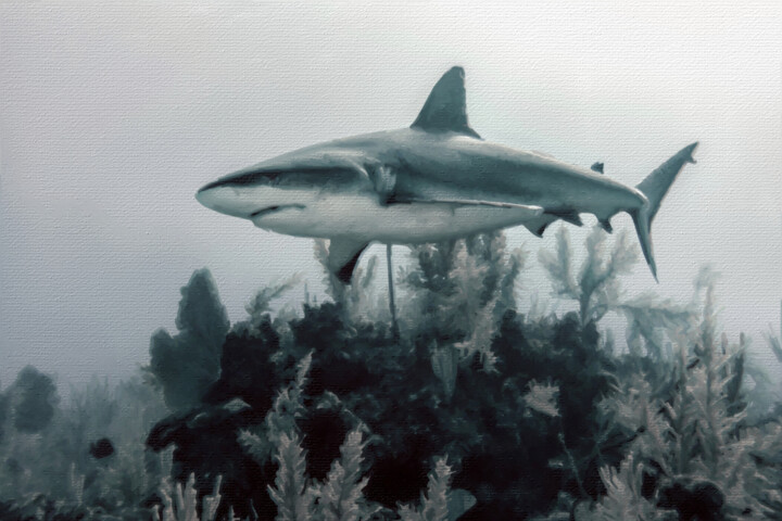 Schilderij getiteld "Shark Under Water" door Tony Rubino, Origineel Kunstwerk, Acryl Gemonteerd op Frame voor houten brancard