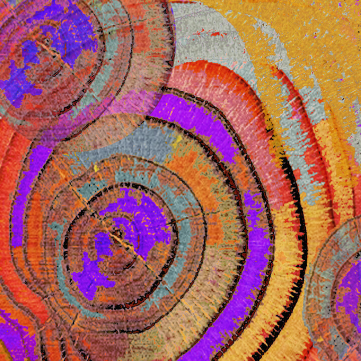 Pintura titulada "Tree Ring Abstract…" por Tony Rubino, Obra de arte original, Acrílico Montado en Bastidor de camilla de ma…