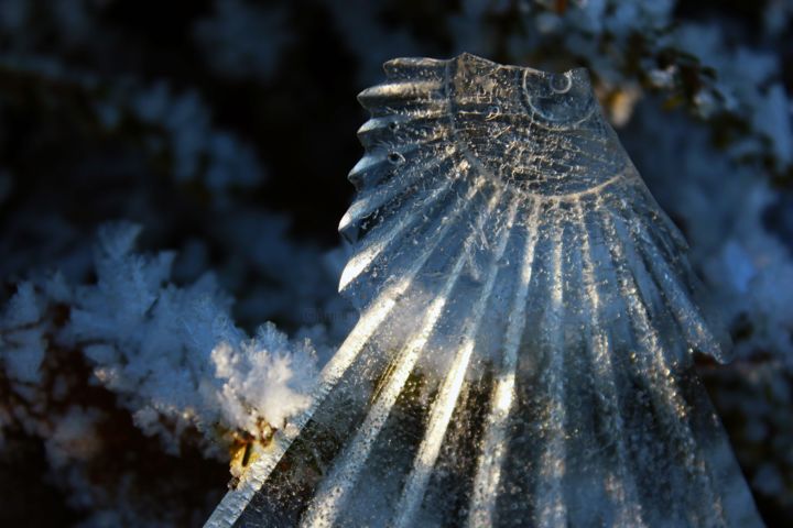 "Incas.jpeg" başlıklı Fotoğraf Michèle Tortissier tarafından, Orijinal sanat