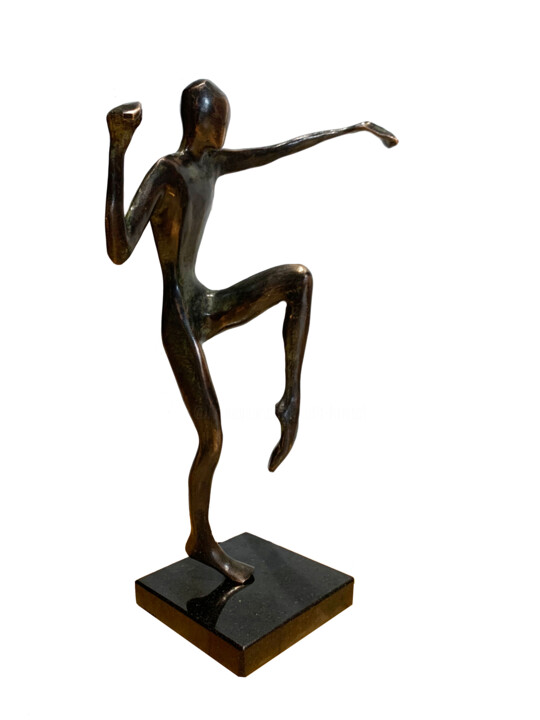 Sculptuur getiteld "Karate fighter" door Kristof Toth, Origineel Kunstwerk, Bronzen
