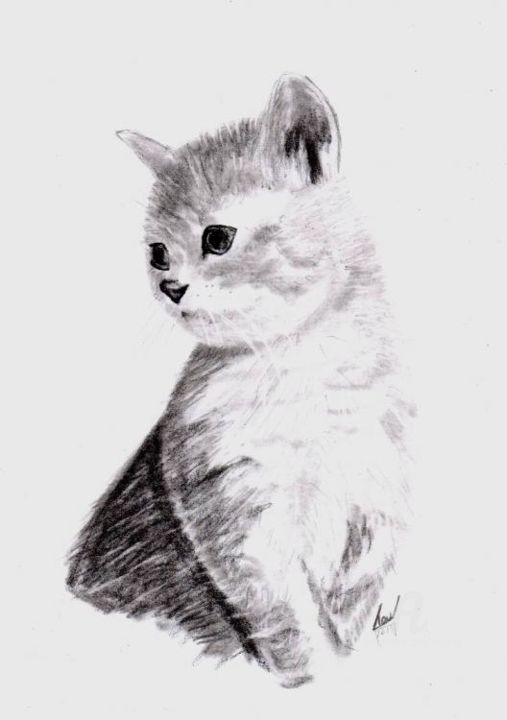 Drawing titled "le chaton" by Serge Toulgoat, Original Artwork