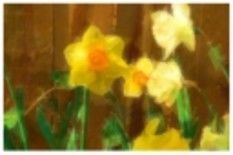 Digital Arts titled "yellow flowers" by Tracey Waters, Original Artwork