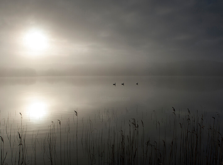 Fotografie getiteld "Misty morning 3" door Trank, Origineel Kunstwerk, Digitale fotografie
