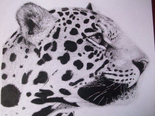 Drawing titled "Leopardo" by Macarena Sevilla, Original Artwork, Other