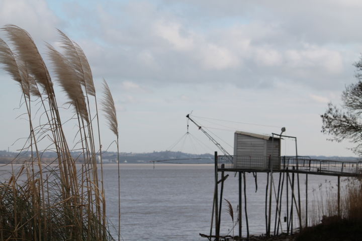 Photography titled "Carrelets aux rosea…" by Elisabeth Feixes-Troin, Original Artwork