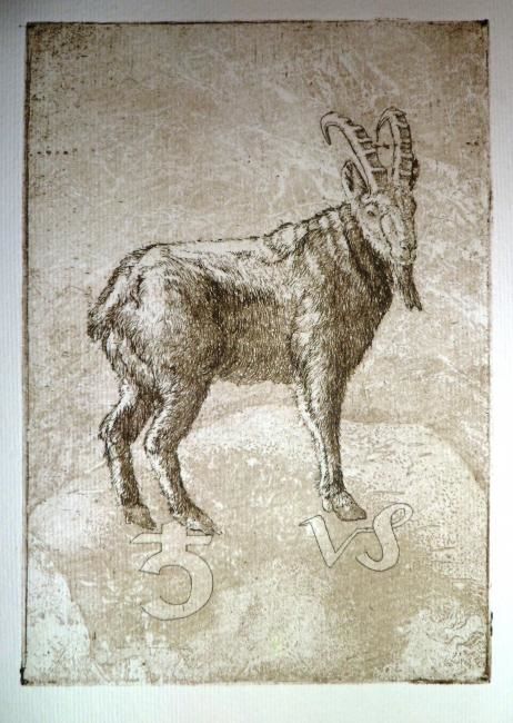 Printmaking titled "Capricorn" by Katerina Evgenieva, Original Artwork