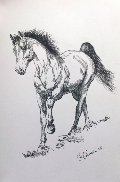 Drawing titled "Hors 2 sketch" by Katerina Evgenieva, Original Artwork, Ink