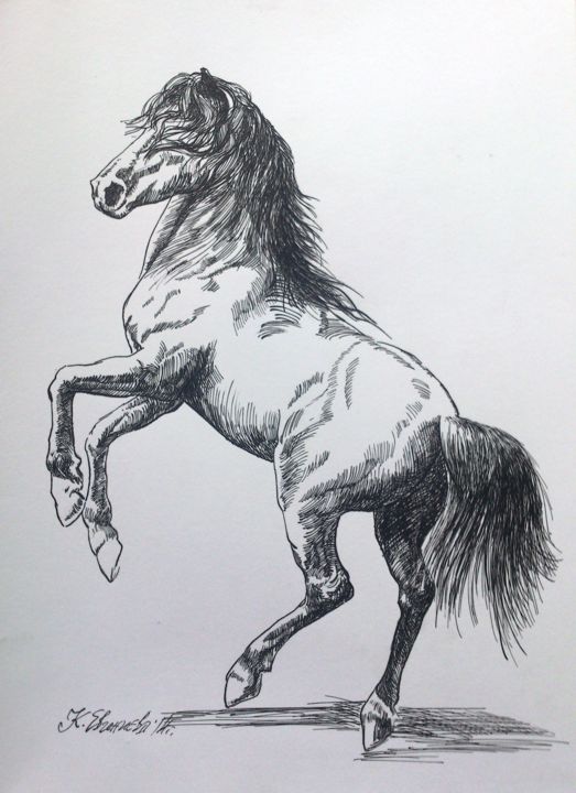 Drawing titled "Hors 4 sketch" by Katerina Evgenieva, Original Artwork, Ink