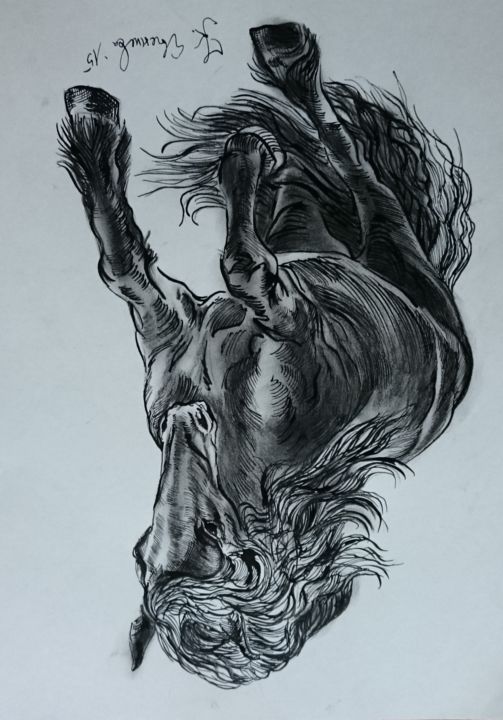 "Horse 11" başlıklı Resim Katerina Evgenieva tarafından, Orijinal sanat, Karakalem
