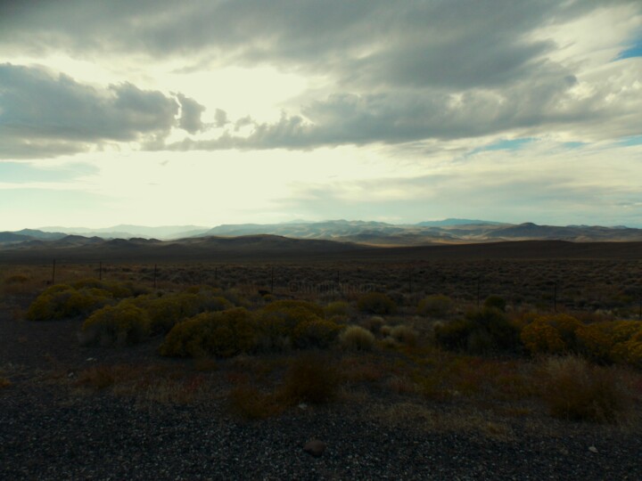 「Unsettled Weather i…」というタイトルの写真撮影 Troy Wilson-Ripsomによって, オリジナルのアートワーク, デジタル