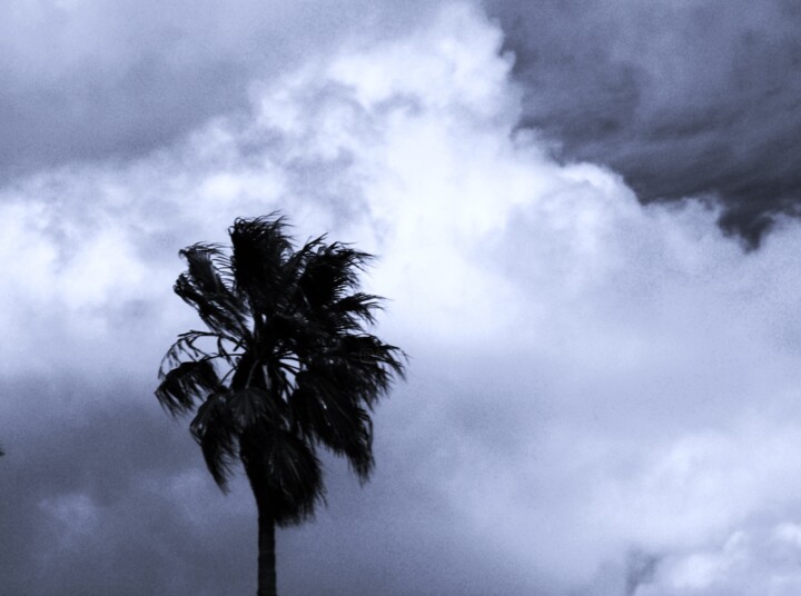 Photography titled "Not Always Sunny Ca…" by Troy Wilson-Ripsom, Original Artwork, Digital Photography