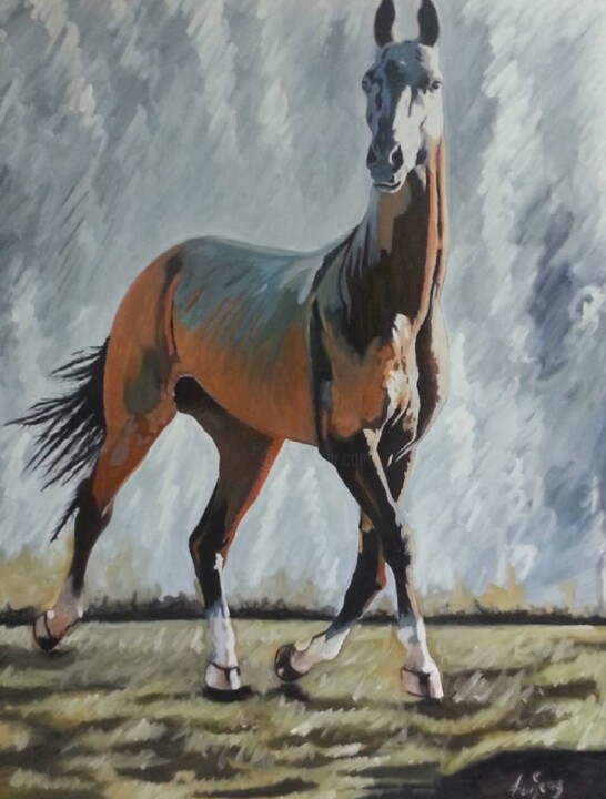 Pintura titulada "Turanıan Horse" por Tuncay Cicek, Obra de arte original, Oleo Montado en Bastidor de camilla de madera