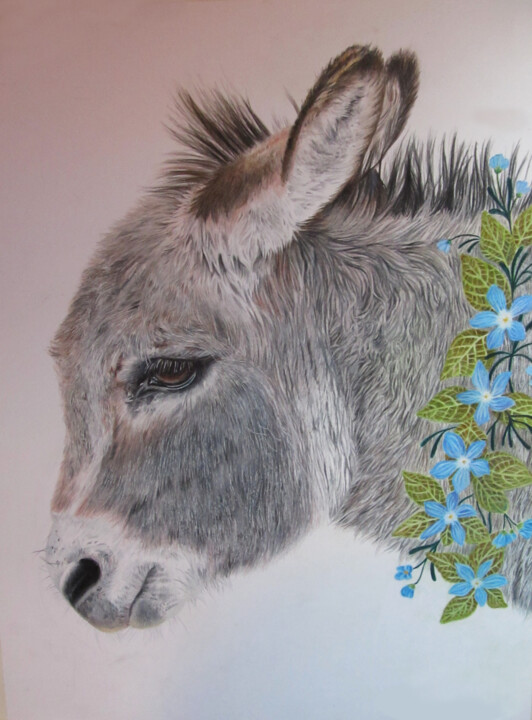 Tekening getiteld "Donkey" door Txuscuende, Origineel Kunstwerk, Potlood