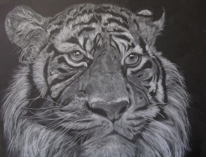 Dessin intitulée "Tiger" par Txuscuende, Œuvre d'art originale, Pastel