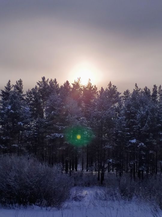 Fotografia intitulada "Мороз и солнце" por Iurii Iudin, Obras de arte originais, Fotografia digital