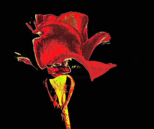 Fotografia intitulada "rose burning" por Uirapuru, Obras de arte originais