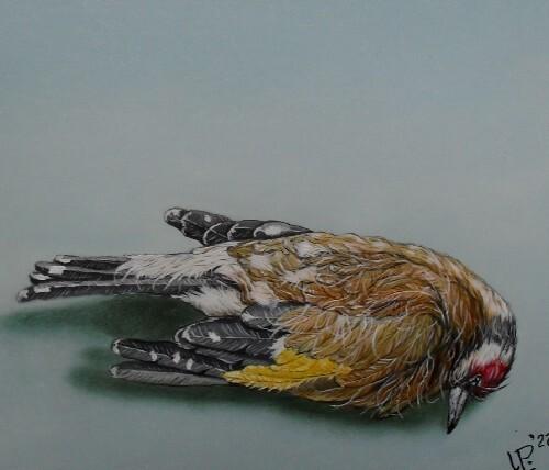 「Little bird lying」というタイトルの絵画 Uko Postによって, オリジナルのアートワーク, オイル