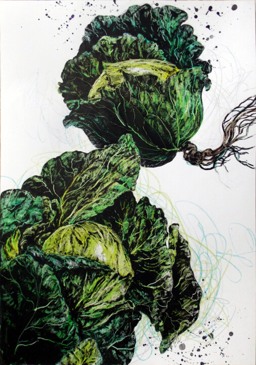 Drawing titled "Cabbage" by Uliana Balan, Original Artwork, Ink