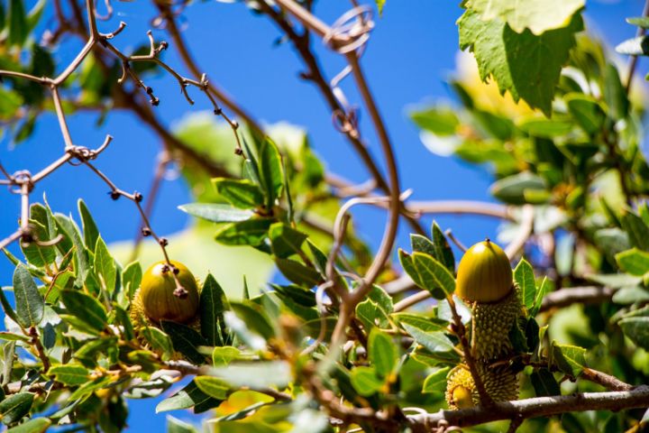 Photography titled "Crete XIII" by Ulli Heupel, Original Artwork