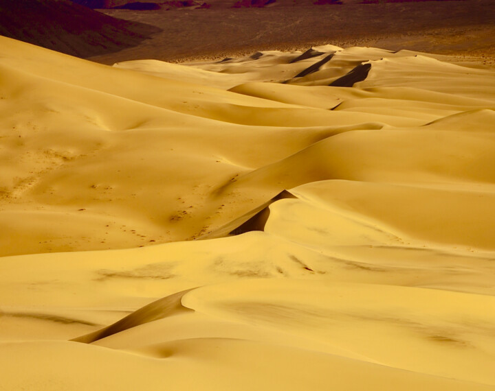 Fotografía titulada "Dünenlandschaft in…" por Ulrich Ernst Nievergelt, Obra de arte original, Fotografía digital