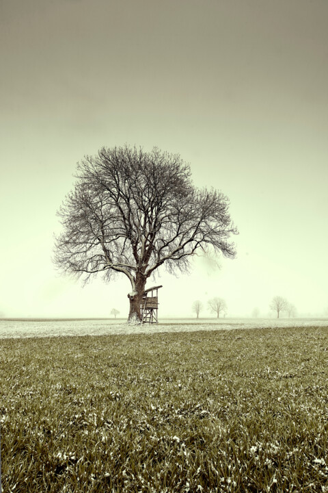 "Naturstück 2" başlıklı Fotoğraf Ulrich Kaiser tarafından, Orijinal sanat, Dijital Fotoğrafçılık