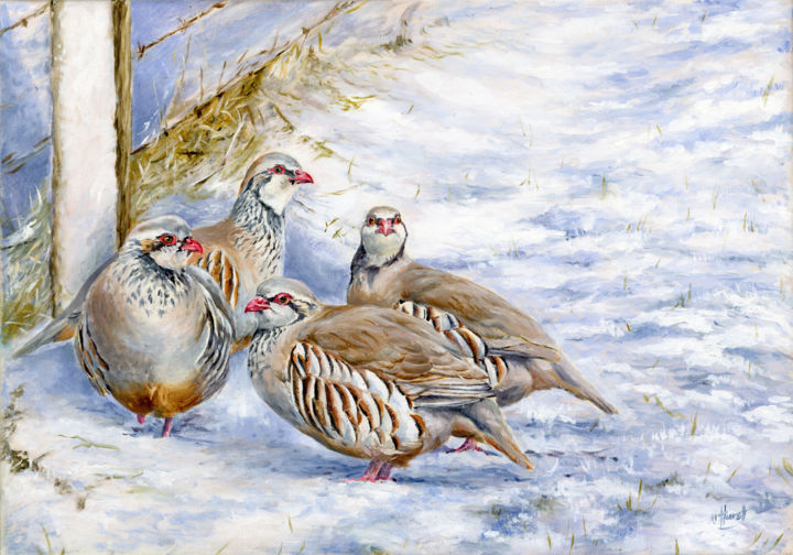 Painting titled "Red-legged partridg…" by Una Hurst, Original Artwork, Oil