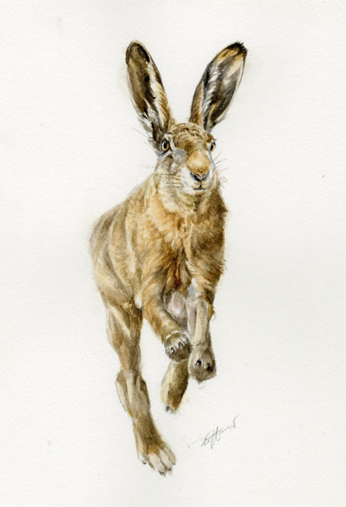 Painting titled "Running hare" by Una Hurst, Original Artwork, Watercolor Mounted on Cardboard