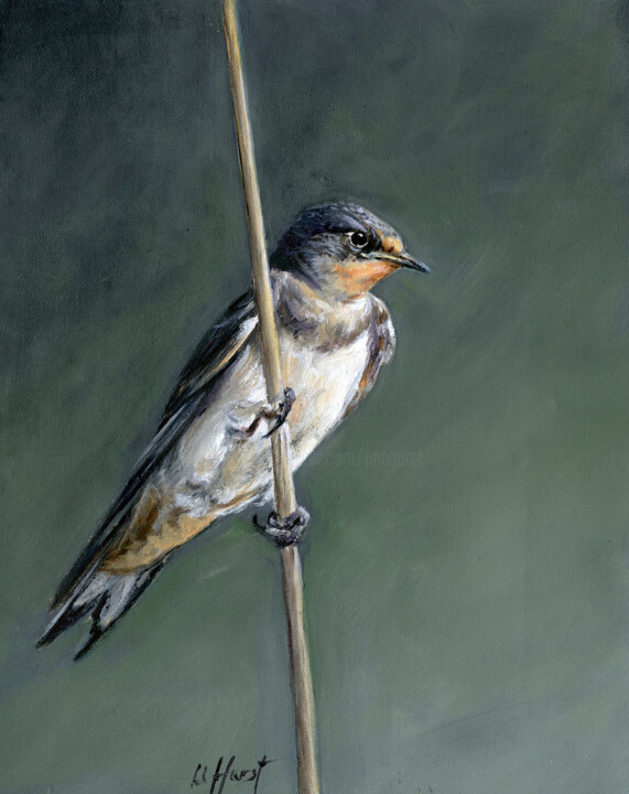 Painting titled "Swallow" by Una Hurst, Original Artwork, Oil