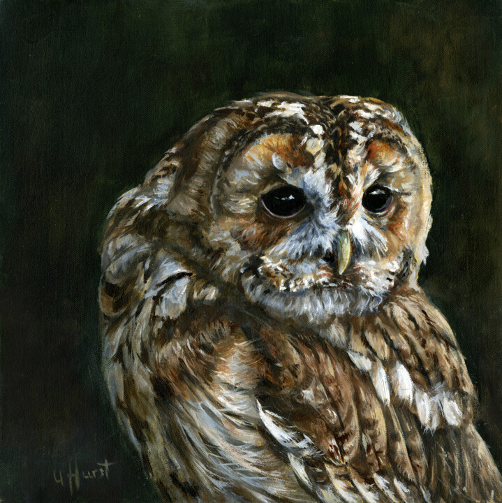 Painting titled "Tawny owl Strix alu…" by Una Hurst, Original Artwork, Oil Mounted on Wood Stretcher frame