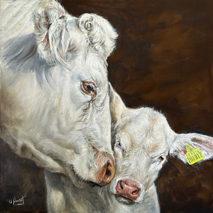Schilderij getiteld "Cow and calf Charol…" door Una Hurst, Origineel Kunstwerk, Olie
