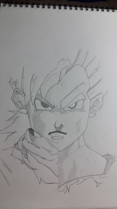 Dragon Ball Z, Drawing by Xavier Nowakowski