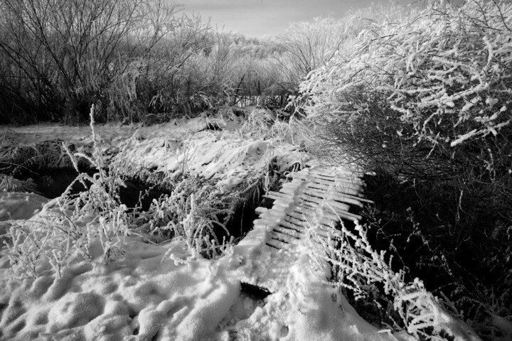Photographie intitulée "winter_02" par Unknown Artist, Œuvre d'art originale