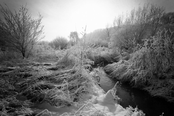 Photographie intitulée "winter_03" par Unknown Artist, Œuvre d'art originale, Photographie numérique