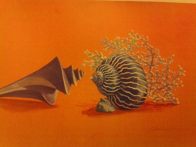 Schilderij getiteld "Sea shells" door Unknown Artist, Origineel Kunstwerk, Olie