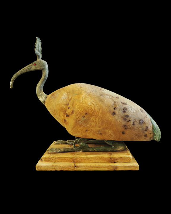 Escultura titulada "Large Ibis of bronz…" por Unknown Artist, Obra de arte original, Bronce