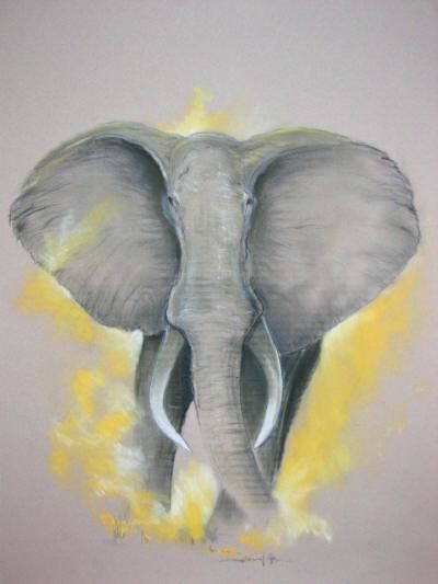 Dessin intitulée "Elephant" par Urban Nature, Œuvre d'art originale