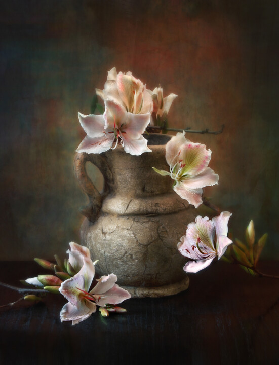 Fotografie mit dem Titel "White Magnolias" von Uri Yushvaev, Original-Kunstwerk