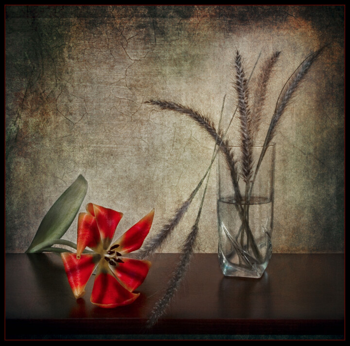 Photographie intitulée "Tulip" par Uri Yushvaev, Œuvre d'art originale
