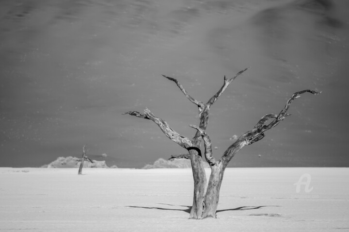 摄影 标题为“Namib Desert-0595-SW” 由Uwe Bauch, 原创艺术品, 数码摄影
