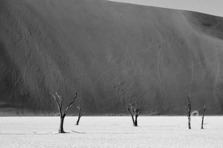 Photographie intitulée "Namib Desert-0672-SW" par Uwe Bauch, Œuvre d'art originale, Photographie numérique